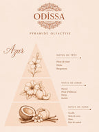 Pyramide olfactive Odissa Azur sur fond beige rosé, illustrant les trois niveaux de la fragrance avec des illustrations botaniques en sépia