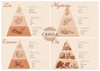Coffret fondants parfumés artisanaux Odissa N°1 Signature Intense – ambiance