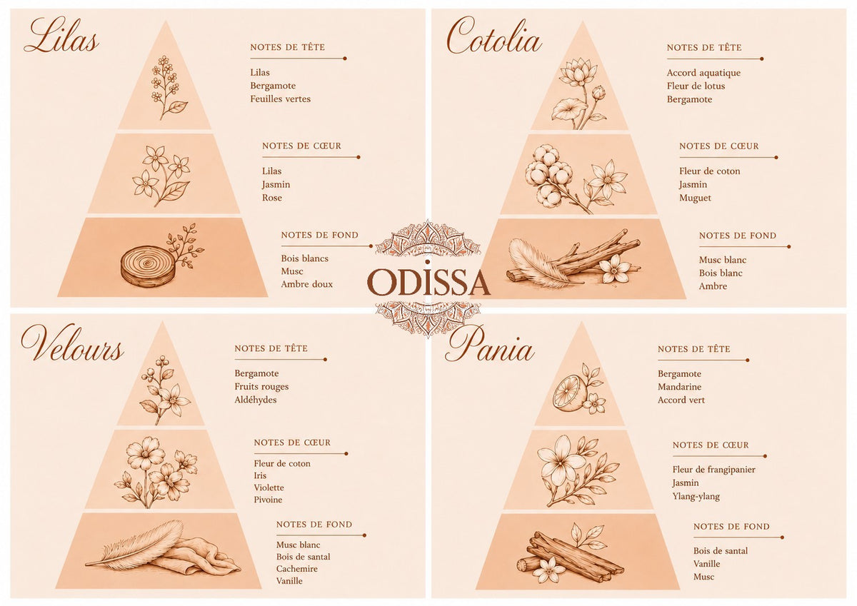 Coffret fondants parfumés artisanaux Odissa N°3 Éclosion Florale – ambiance