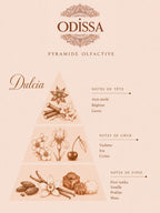 Poudre aspirateur parfumée Odissa senteur Dulcia 100g – pyramide olfactive