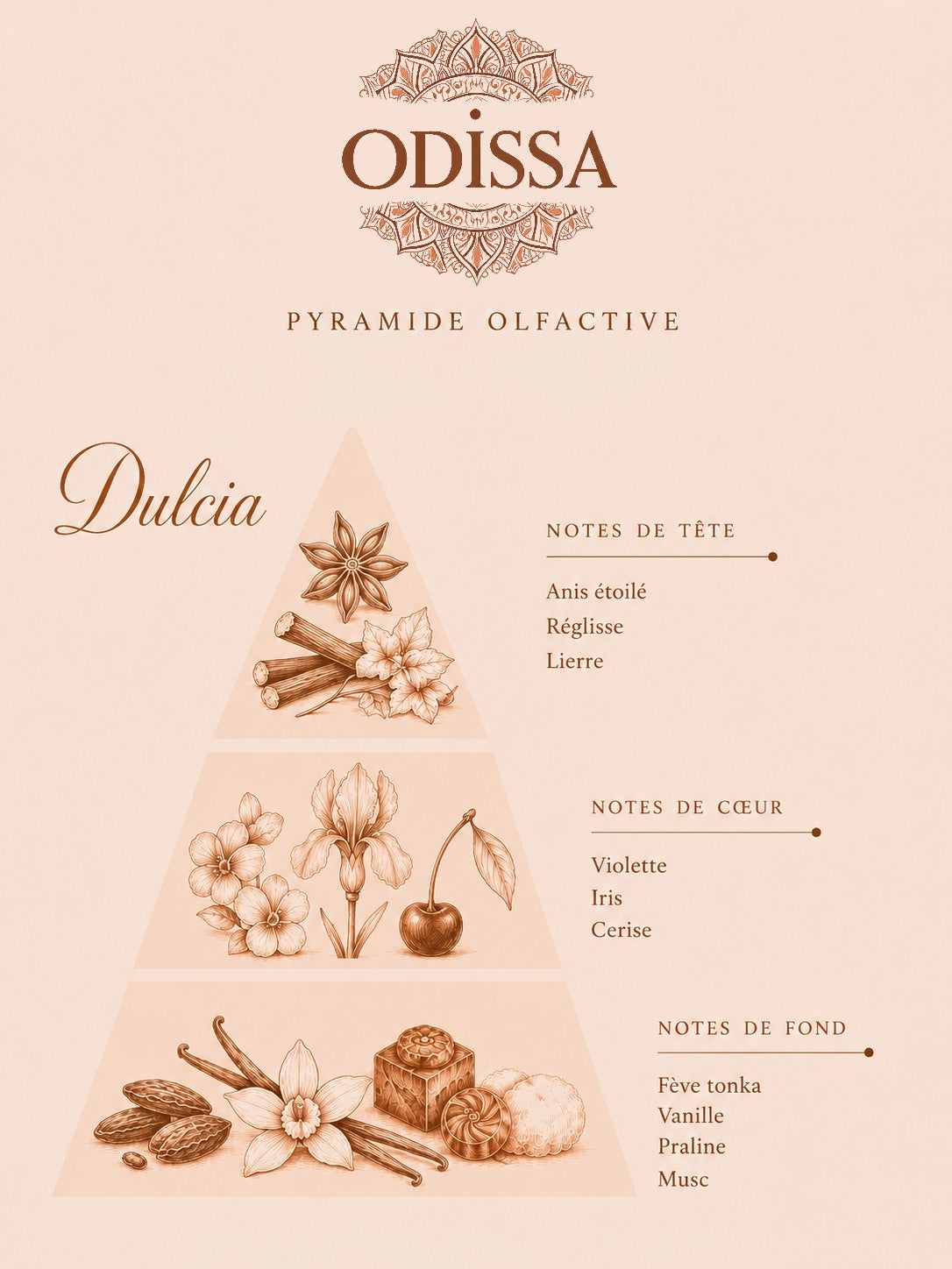 Poudre aspirateur parfumée Odissa senteur Dulcia 100g – pyramide olfactive