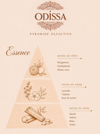 Poudre aspirateur parfumée Odissa senteur Essence 100g – pyramide olfactive