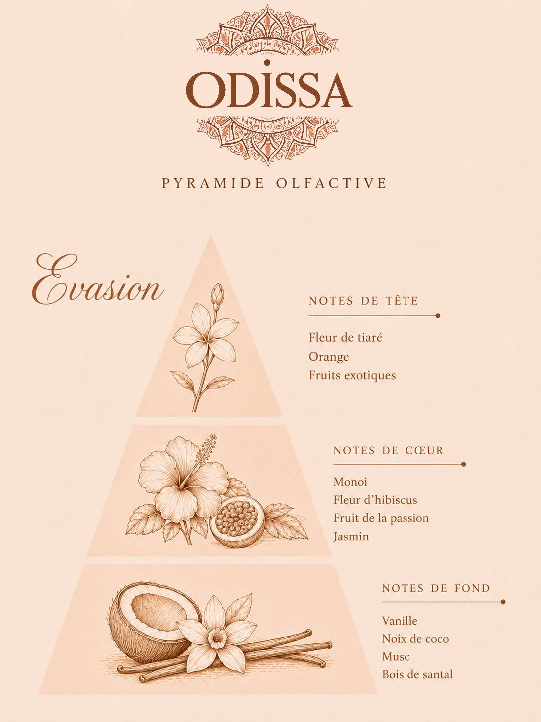 Parfum d'ambiance Odissa Evasion 200ml – ambiance décoration intérieure