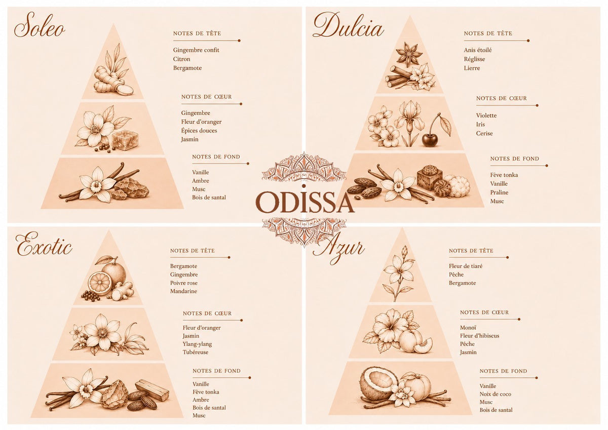 Coffret fondants parfumés artisanaux Odissa N°2 Escale Solaire – ambiance pyramide olfactive