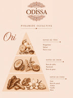 Pyramide olfactive du parfum d'ambiance Ori 200 ml Odissa, notes de bergamote, safran, bois et oud