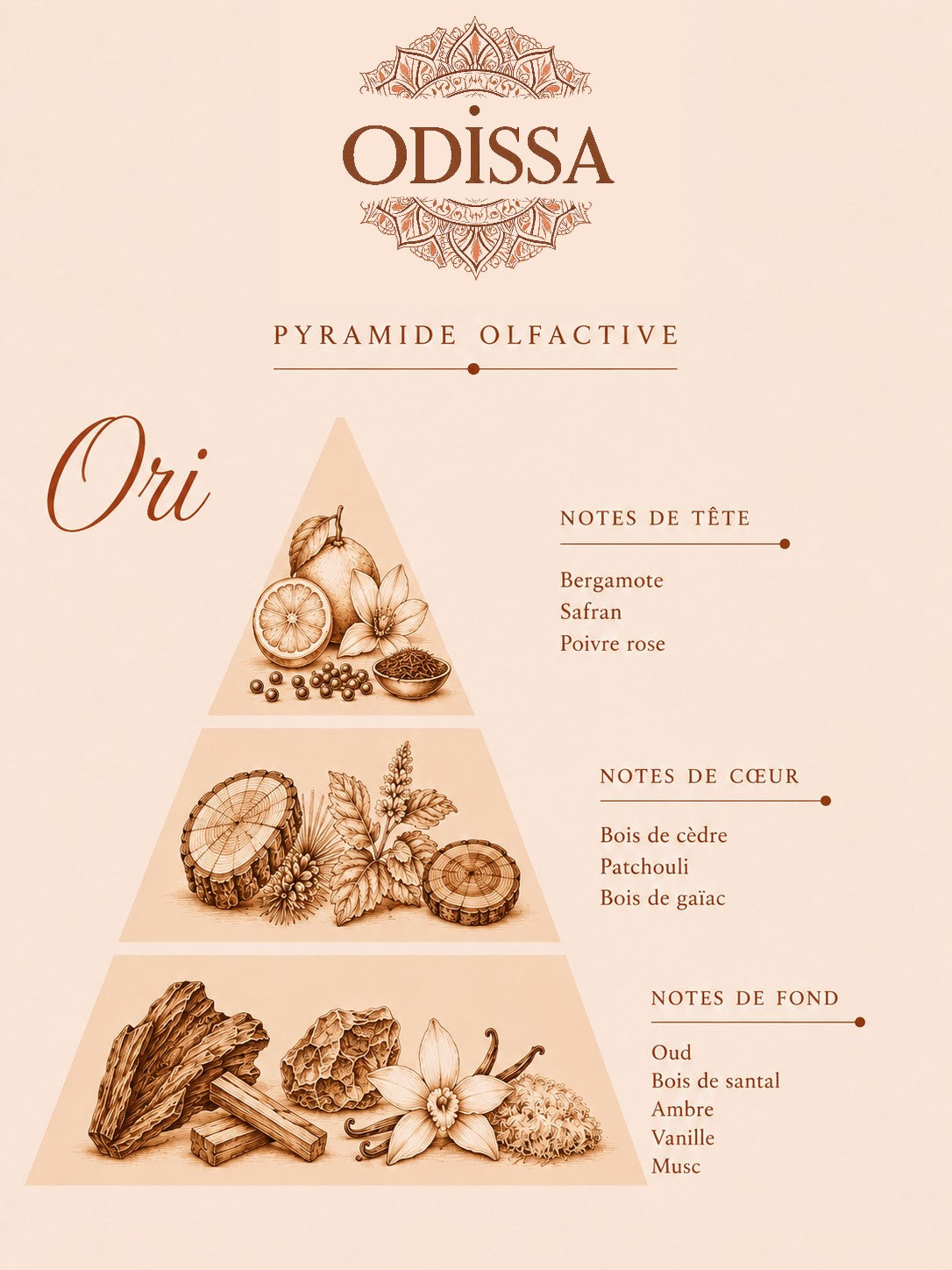 Pyramide olfactive du parfum d'ambiance Ori 200 ml Odissa, notes de bergamote, safran, bois et oud