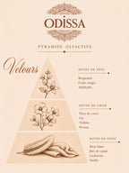 Poudre aspirateur parfumée Odissa senteur Velours 100g – pyramide olfactive
